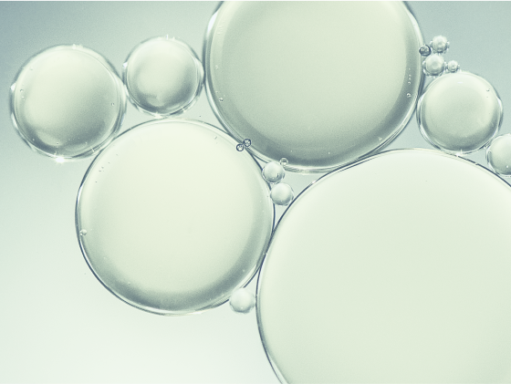 組織構造　Structure